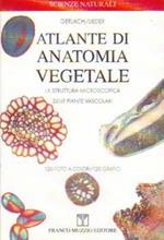 Atlante di anatomia vegetale. La struttura microscopica delle piante vascolari