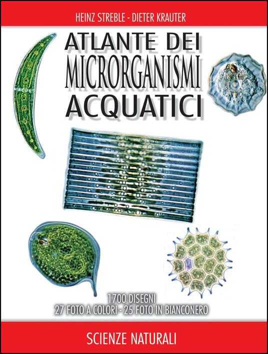 Atlante dei microrganismi acquatici - Heinz Streble,Dieter Krauter - copertina