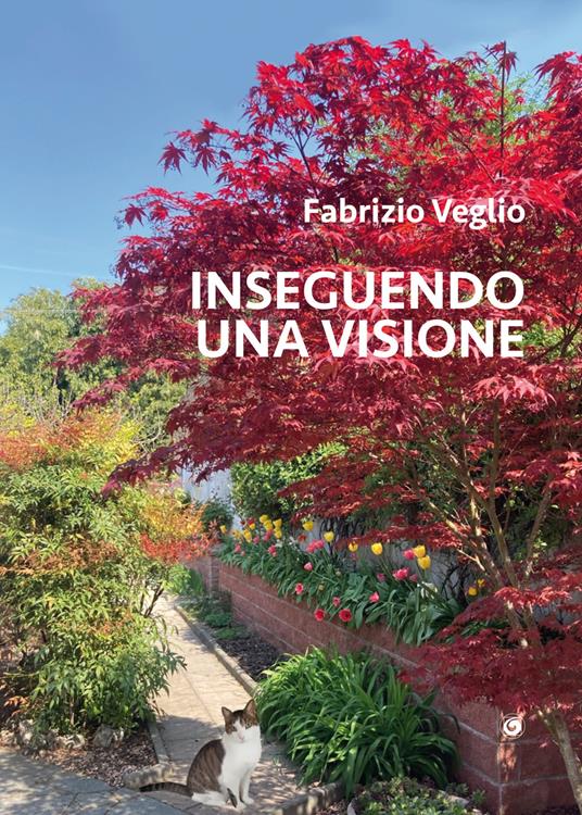 Inseguendo una visione - Fabrizio Veglio - copertina