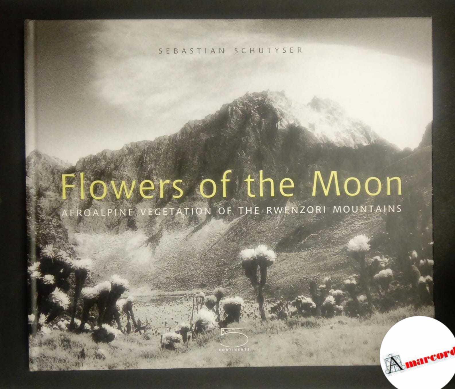 Flowers of the moon
