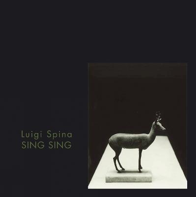 Sing Sing. Il corpo di Pompei-Pompeii's Body. Ediz. illustrata - Luigi Spina - copertina