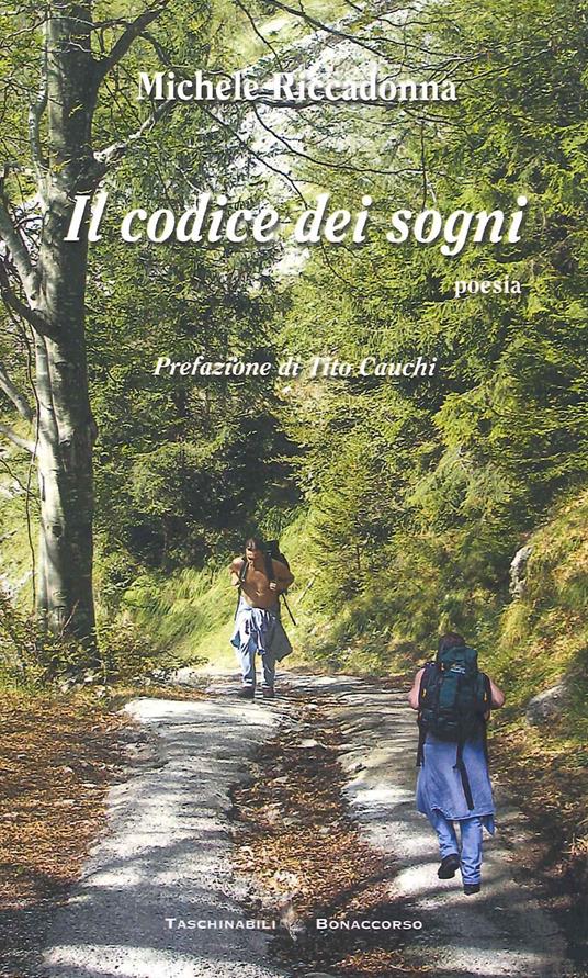 Il codice dei sogni - Michele Riccadonna - copertina
