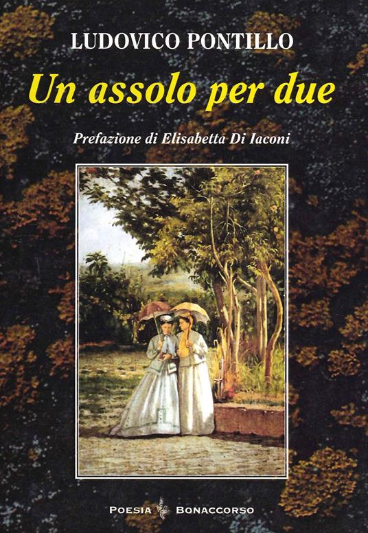 Un assolo per due - Ludovico Pontillo - copertina