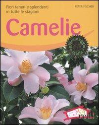 Camelie. Fiori teneri e splendenti in tutte le stagioni. Ediz. illustrata - Peter Fisher - copertina