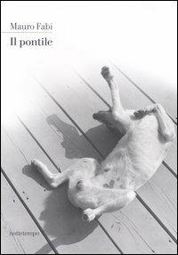 Il pontile - Mauro Fabi - copertina