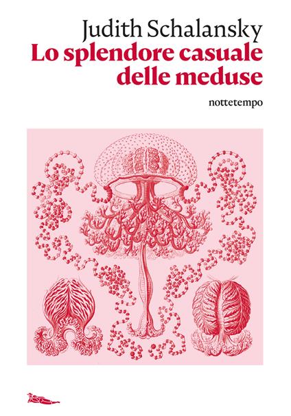 Lo splendore casuale delle meduse - Judith Schalansky,Flavia Pantanella - ebook