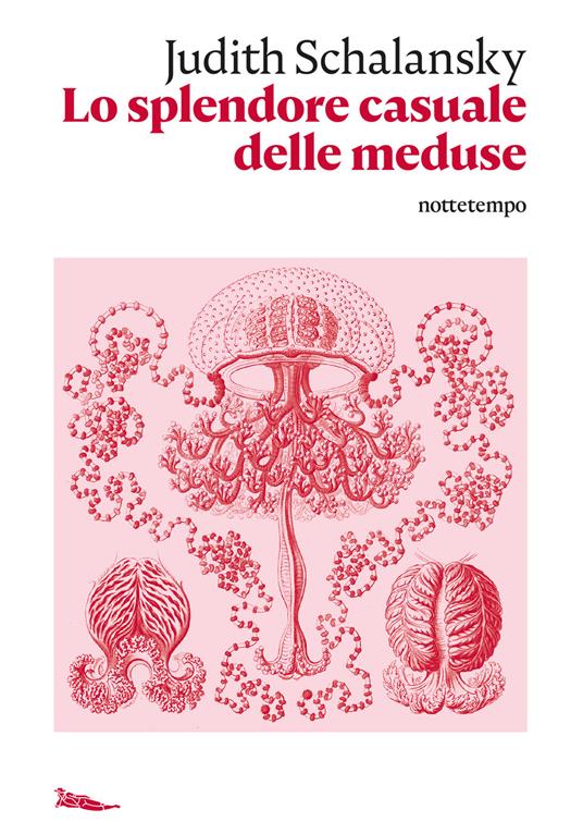 Lo splendore casuale delle meduse - Judith Schalansky,Flavia Pantanella - ebook