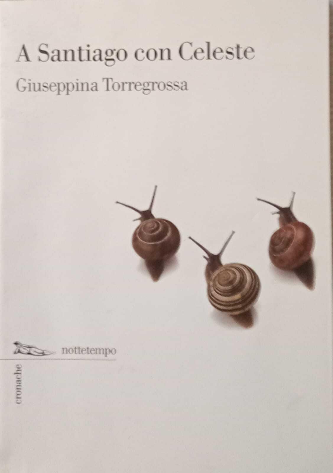 Librisaggi