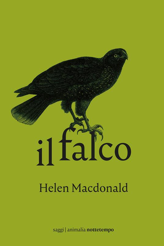 Il falco - Helen MacDonald,Anna Rusconi - ebook