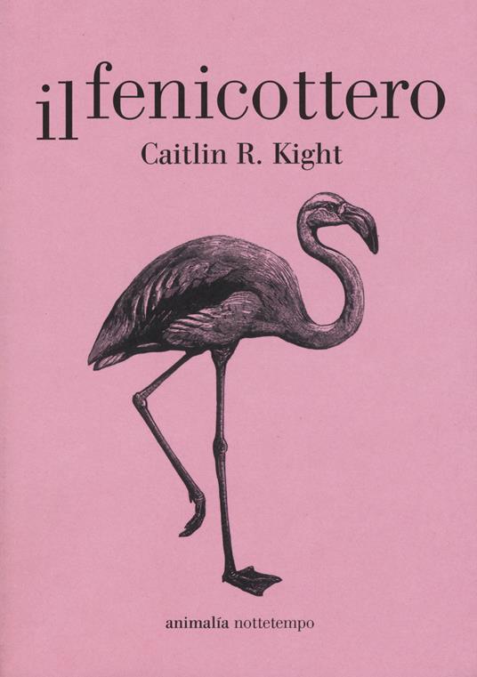 Il fenicottero - Caitlin R. Kight - copertina