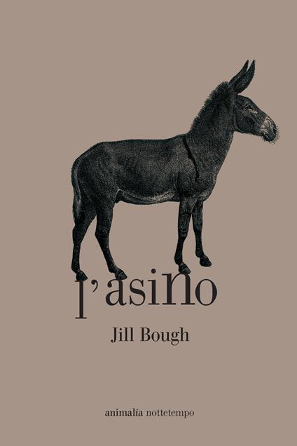L' asino - Jill Bough,Andrea Aureli - ebook