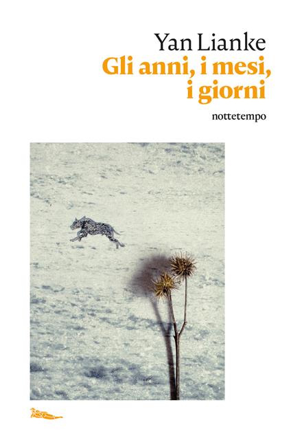 Gli anni, i mesi, i giorni - Lianke Yan,Lucia Regola - ebook