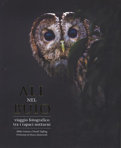 Ali nel buio. Viaggio fotografico tra i rapaci notturni. Ediz. a colori - Mike Unwin,David Tipling - copertina