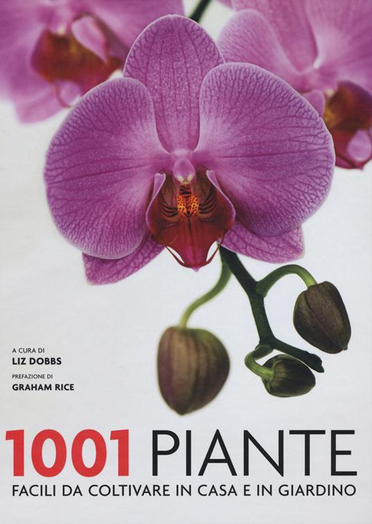 1001 piante facili da coltivare per la casa e il giardino - copertina