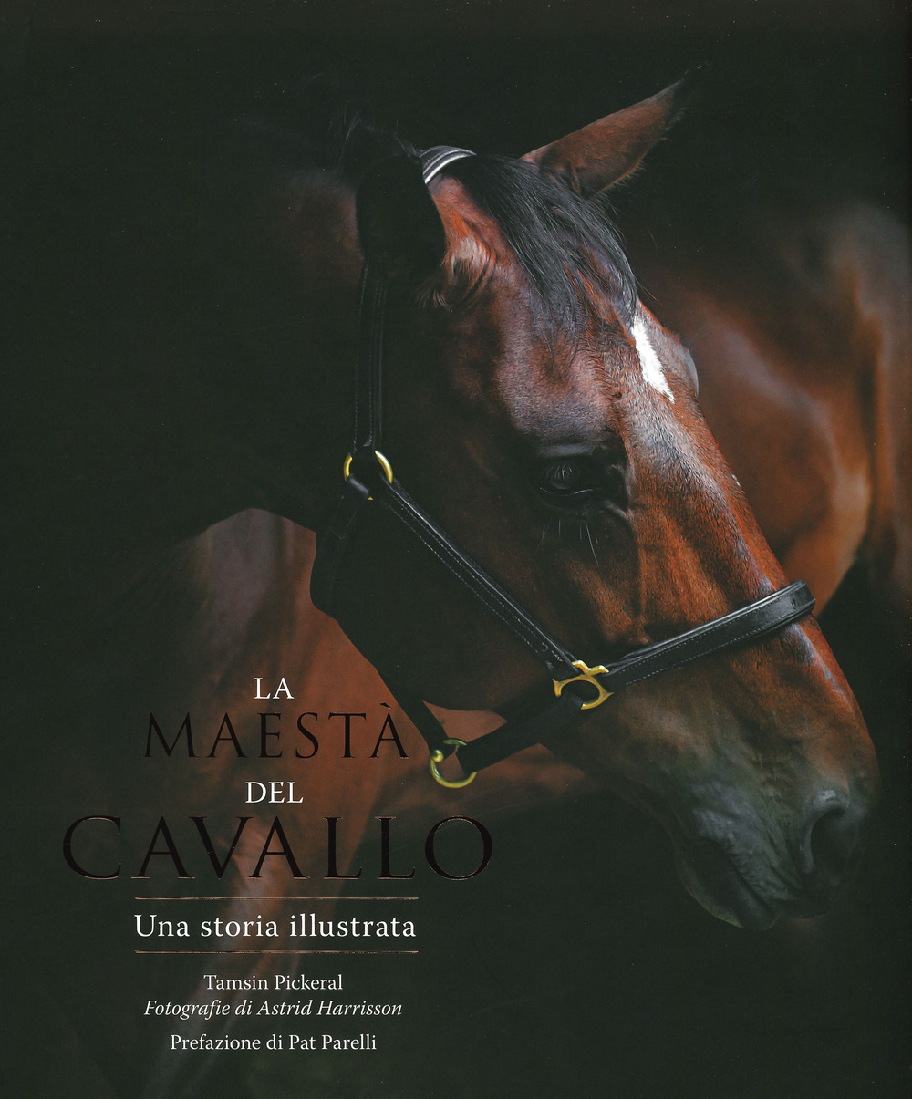 Libreria Max 88