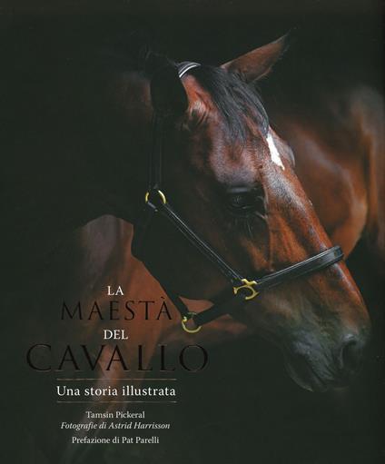 La maestà del cavallo. Una storia illustrata. Ediz. a colori - Mike Unwin - copertina