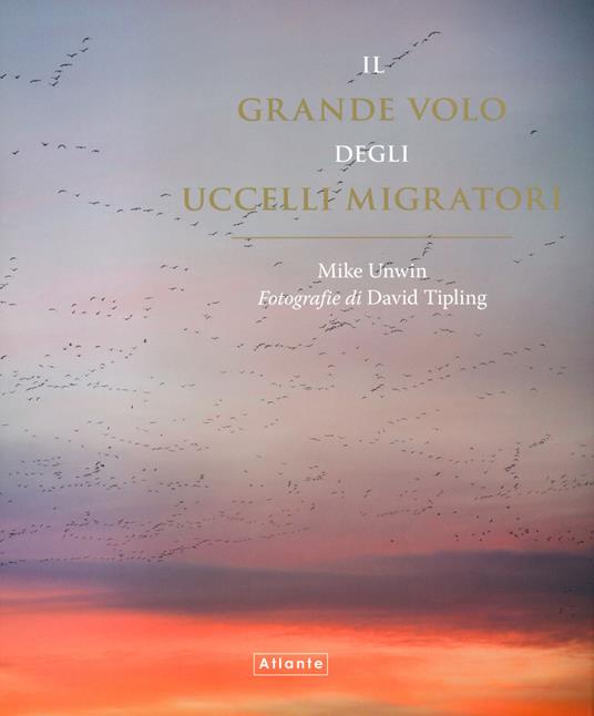 Il grande volo degli uccelli migratori - Mike Unwin - copertina