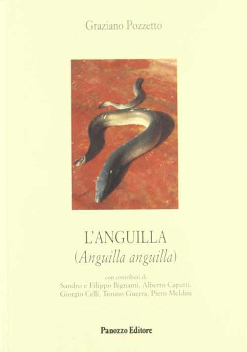 L' anguilla - Graziano Pozzetto - copertina