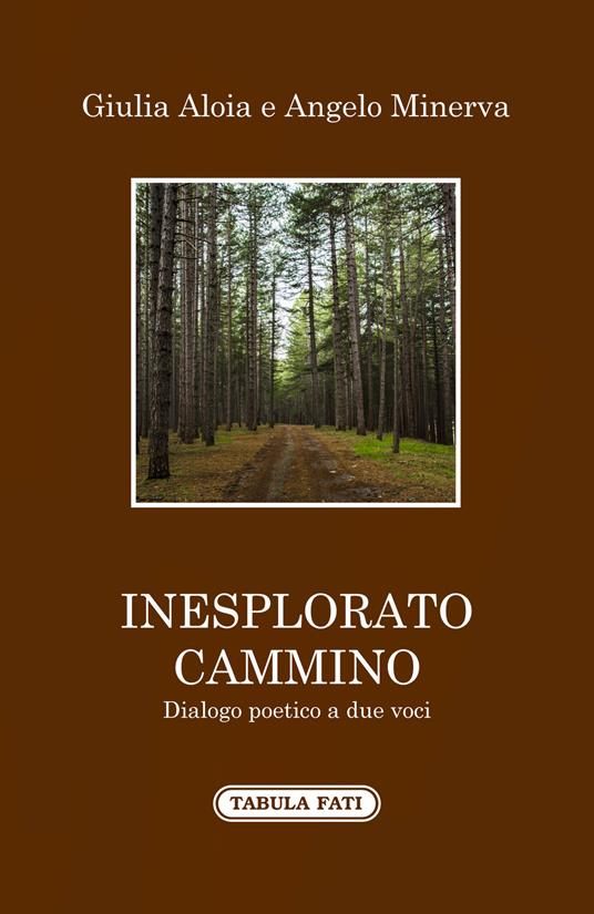 Inesplorato cammino - Giulia Aloia,Angelo Minerva - copertina