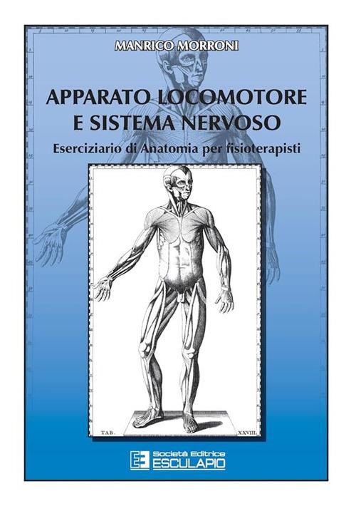 Apparato locomotore e sistema nervoso. Eserciziario di anatomia per fisioterapisti - Manrico Morroni - copertina
