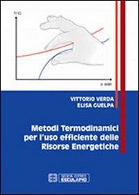 Metodi termodinamici per l'uso efficiente delle risorse energetiche - Vittorio Verda,Elisa Guelpa - copertina