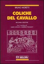 Coliche del cavallo