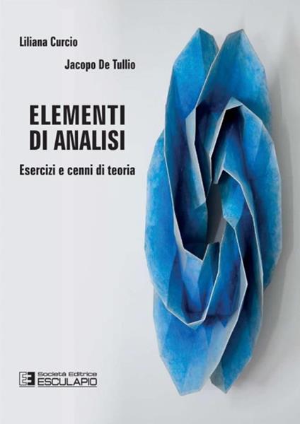 Elementi di analisi. Esercizi e cenni di teoria - Liliana Curcio,Jacopo De Tullio - copertina