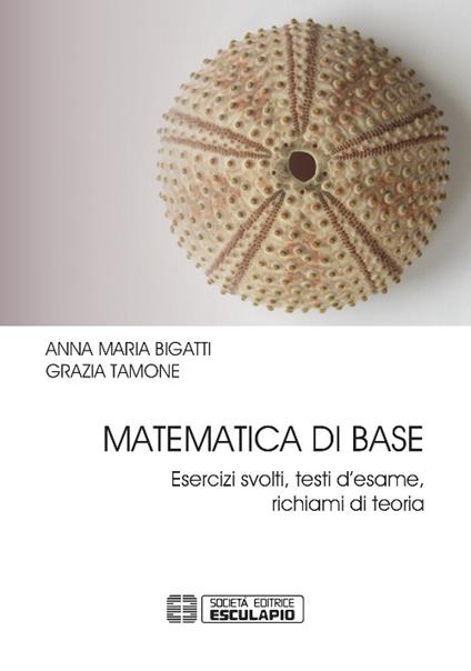 Matematica di base. Esercizi svolti, testi d'esame, richiami di teoria - Anna Maria Bigatti,Grazia Tamone - copertina