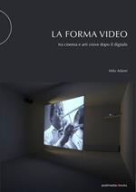 La forma video. Tra cinema e arti visive dopo il digitale