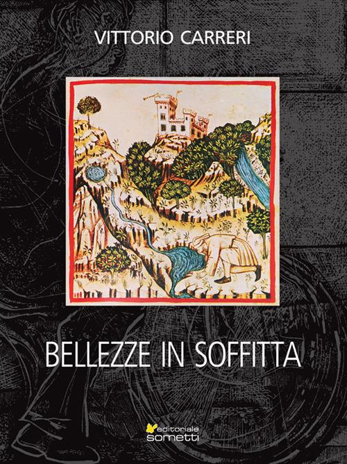 Bellezze in soffitta. Ediz. illustrata - Vittorio Carreri - copertina