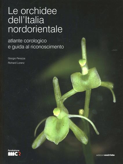 Le orchidee dell'Italia nordorientale. Atlante corologico e guida al riconoscimento - Giorgio Perazza,Richard Lorenz - copertina