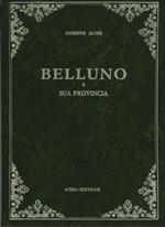 Storia di Belluno e la sua provincia (rist. anast.)