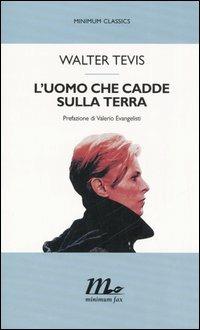 L'uomo che cadde sulla terra - Walter Tevis - copertina