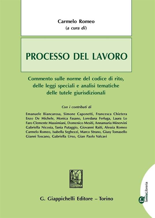 Processo del lavoro. Commento sulle norme del codice di rito, delle leggi speciali e analisi tematiche delle tutele giurisdizionali. Con aggiornamento online - copertina
