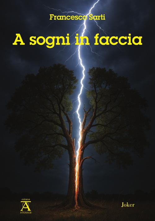 A sogni in faccia - Francesco Sarti - copertina