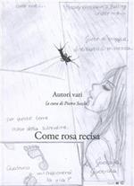 Come rosa recisa