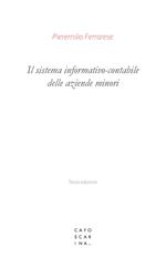 Il sistema informativo-contabile delle aziende minori