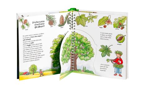 Il bosco. Ediz. a colori - Angela Weinhold - 2