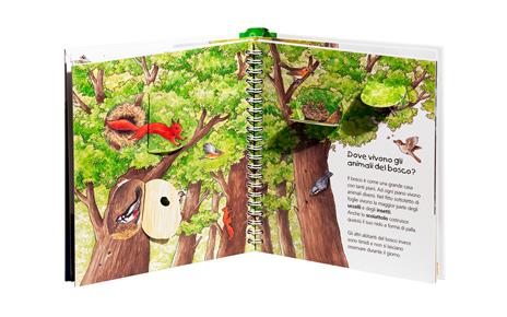 Il bosco. Ediz. a colori - Angela Weinhold - 3