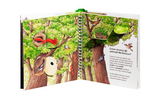 Il bosco. Ediz. a colori - Angela Weinhold - 3