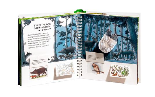 Il bosco. Ediz. a colori - Angela Weinhold - 4