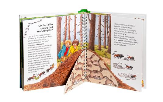 Il bosco. Ediz. a colori - Angela Weinhold - 5