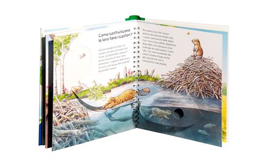 Dove vivono gli animali. Ediz. a colori - Anne Möller - 4