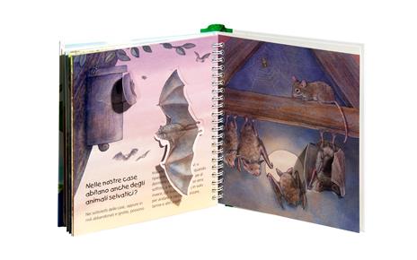 Dove vivono gli animali. Ediz. a colori - Anne Möller - 5