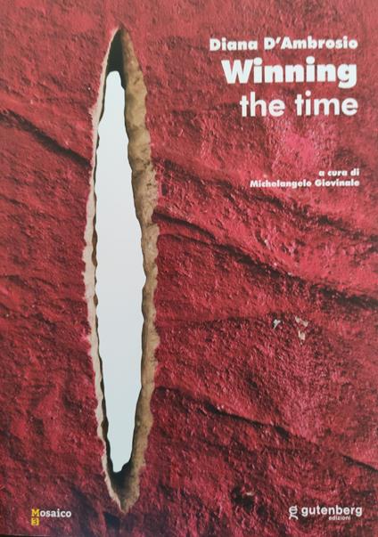 Diana D'Ambrosio. Winning the time. Ediz. italiana e inglese - Michelangelo Giovinale - copertina