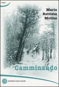 Camminando - Mario B. Molino - copertina