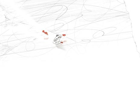 Linee. Ediz. illustrata - Suzy Lee - 4