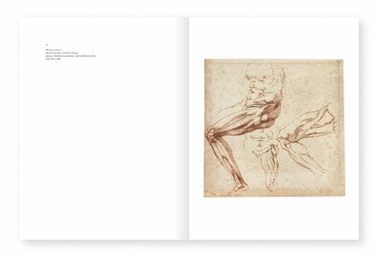 Michelangelo. I disegni di casa Buonarroti - Luciano Berti,Alessandro Cecchi,Antonio Natali - 4