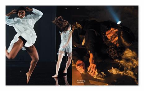 Biennale de l'Image en Mouvement 2018. Catalogo della mostra (Ginevra, 8 novembre 2019-3 febbraio 2019). Ediz. illustrata - Andrea Bellini,Andrea Lissoni - 9