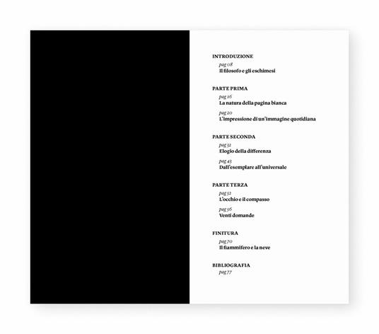 La sintesi spontanea. Venti domande semplici sull'arte contemporanea - Giovanni Ferrario - 2